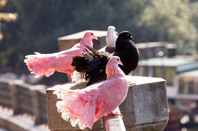 还凝聚了来 还凝聚了来