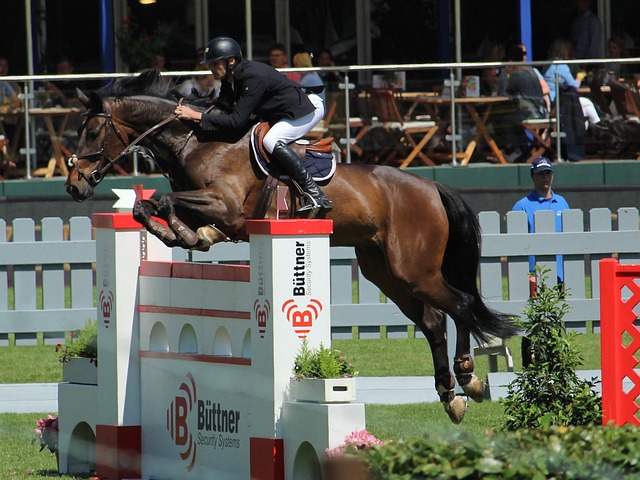 的竞技价值 的竞技价值