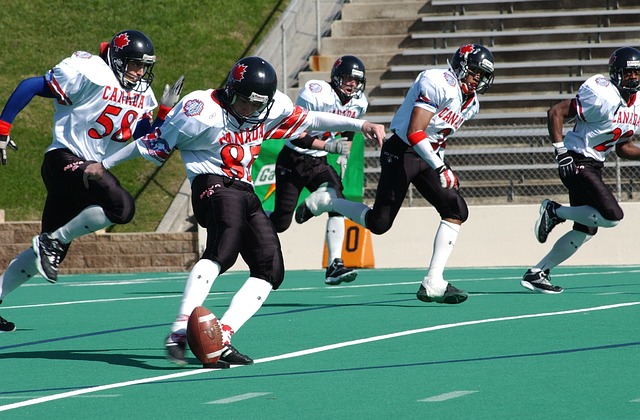 动引发观众 动引发观众