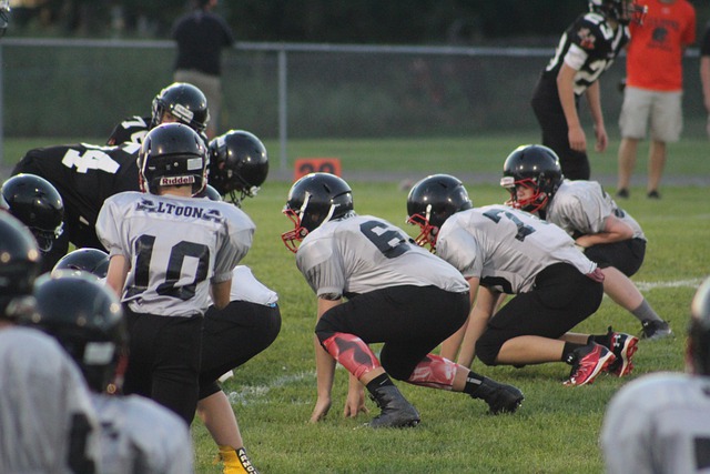 的潜力最大 的潜力最大