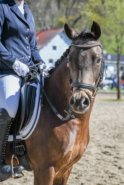 擇了一個對 擇了一個對