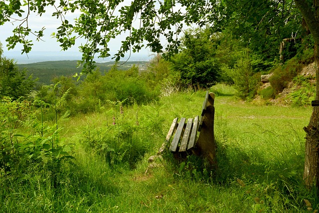 键时刻的失 键时刻的失