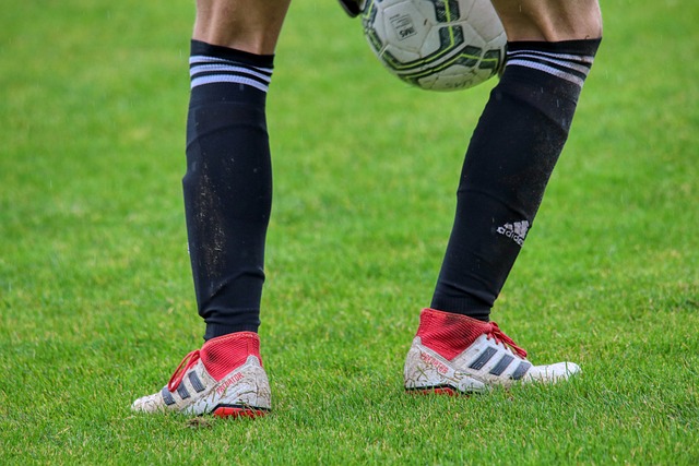 尽管努力追 尽管努力追