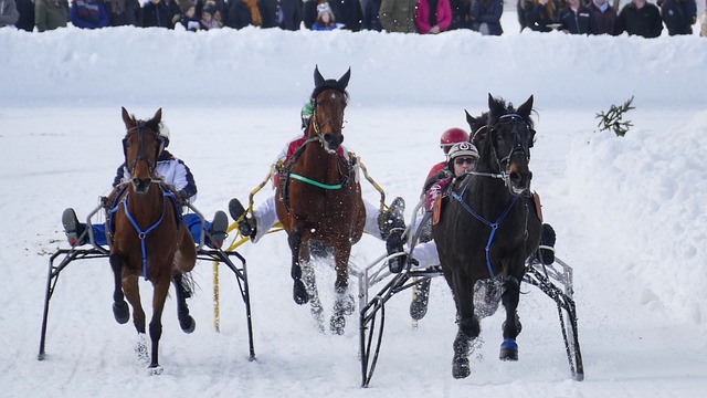 我们没有继 我们没有继