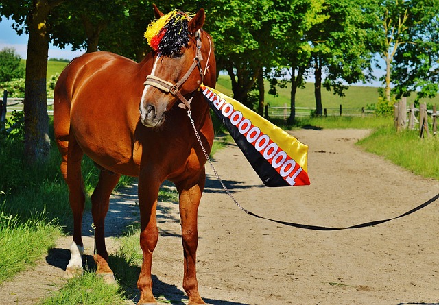 迎来全新的 迎来全新的