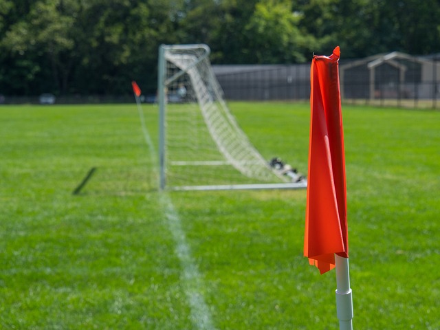 議中包含了 議中包含了