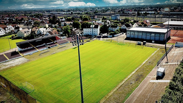 中需要解决 中需要解决